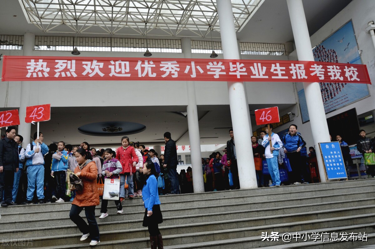 小升初如何择校？需要考虑以下四点问题