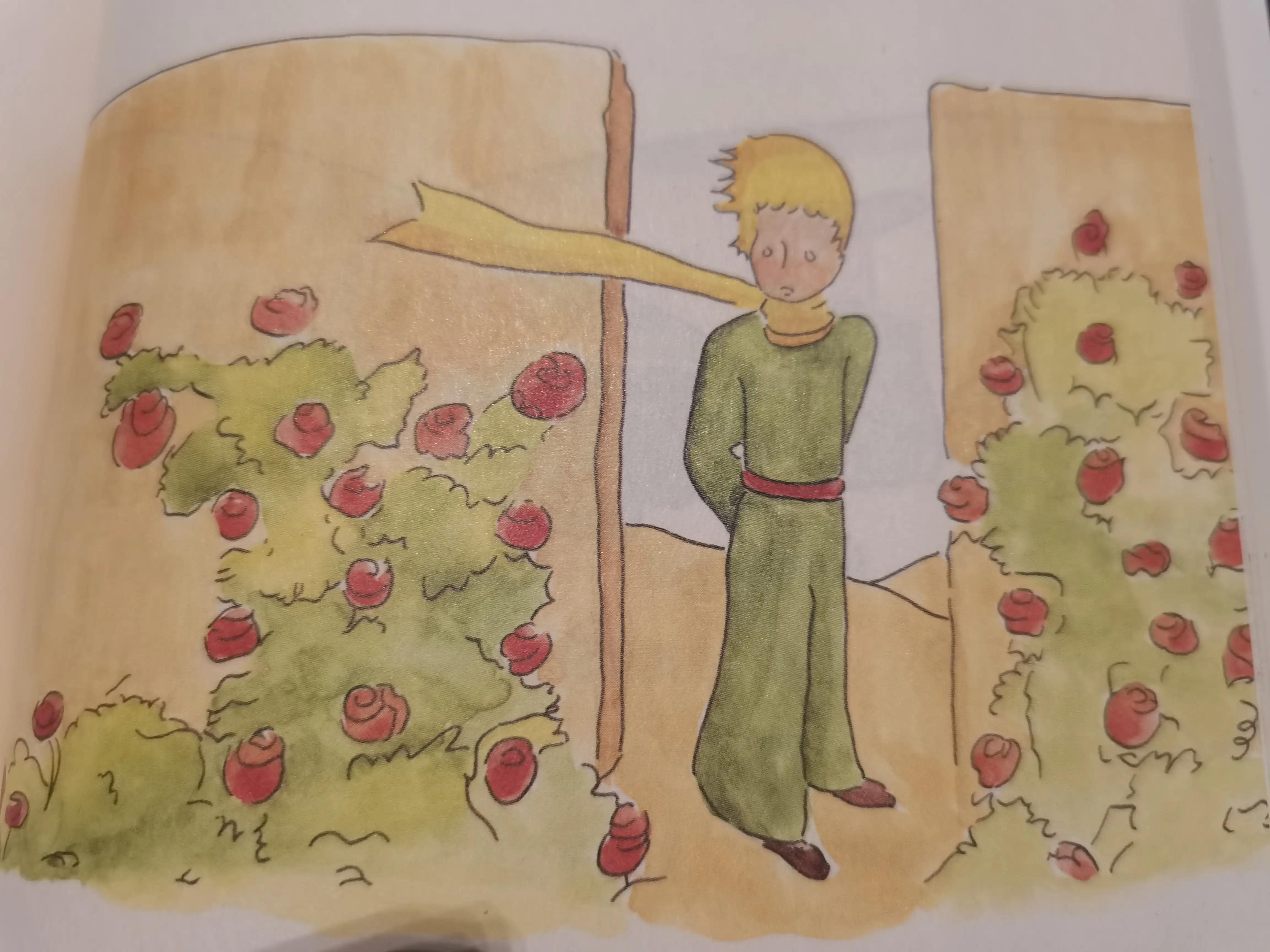 小王子玫瑰花经典语录节制的爱「小王子玫瑰花经典句」_爱阅读