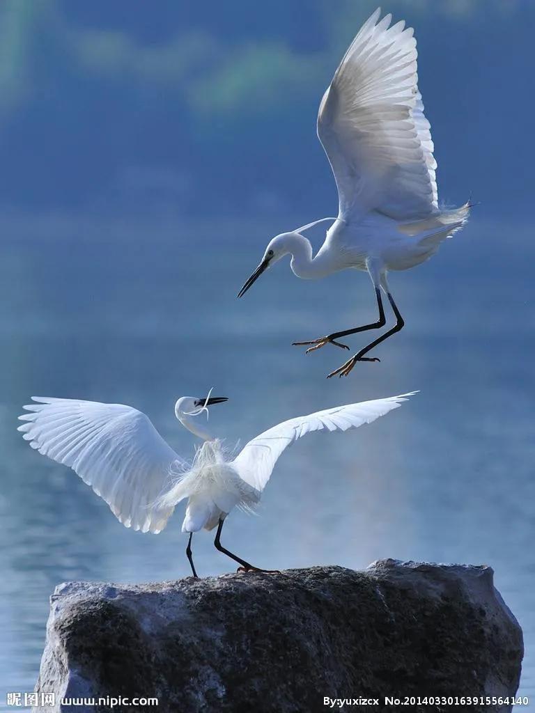 2021高考语文全国乙卷诗歌鉴赏全解析真题详解