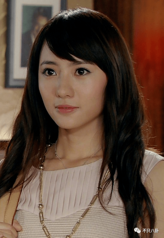 爱情公寓人物介绍背景图(《爱情公寓》"诺澜"明明是大美女,为什么要走