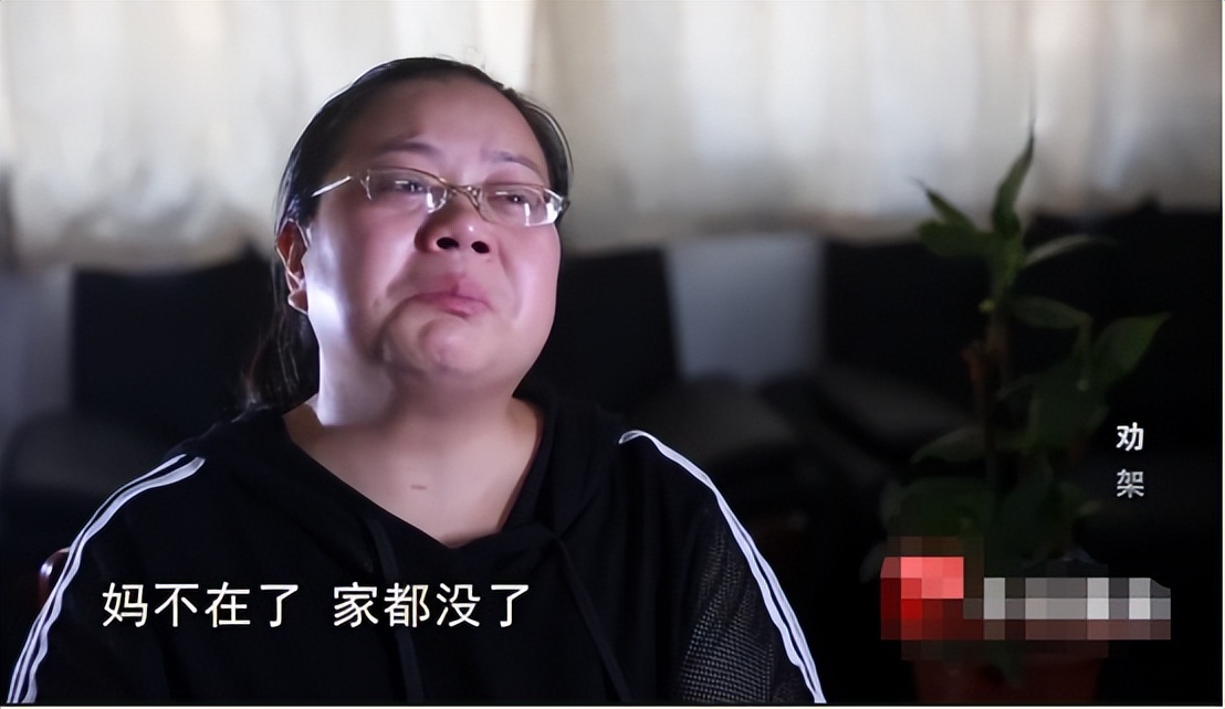 2017年湖南53岁阿姨劝架，反被9岁男孩追打，情绪波动下倒地身亡
