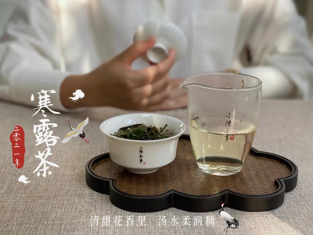 年底了，买老白茶要牢记“3个要点”，不交学费，春节在家喝好茶