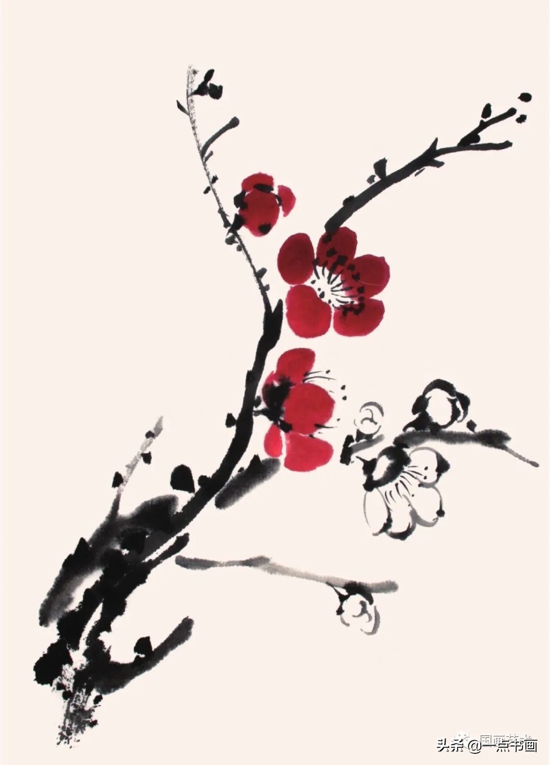 如何画梅花(一步一步教我画梅花树) - 家电维修网