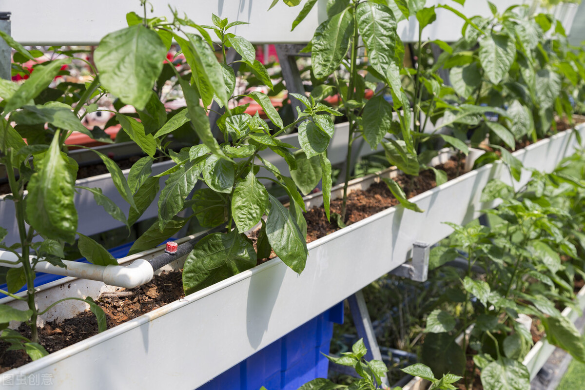 大专有哪些专业可选（盘点四个专科层次的农学专业）