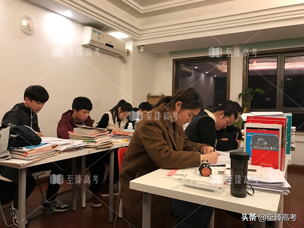 艺考生补文化课哪里好：武汉至臻高考学习文化课