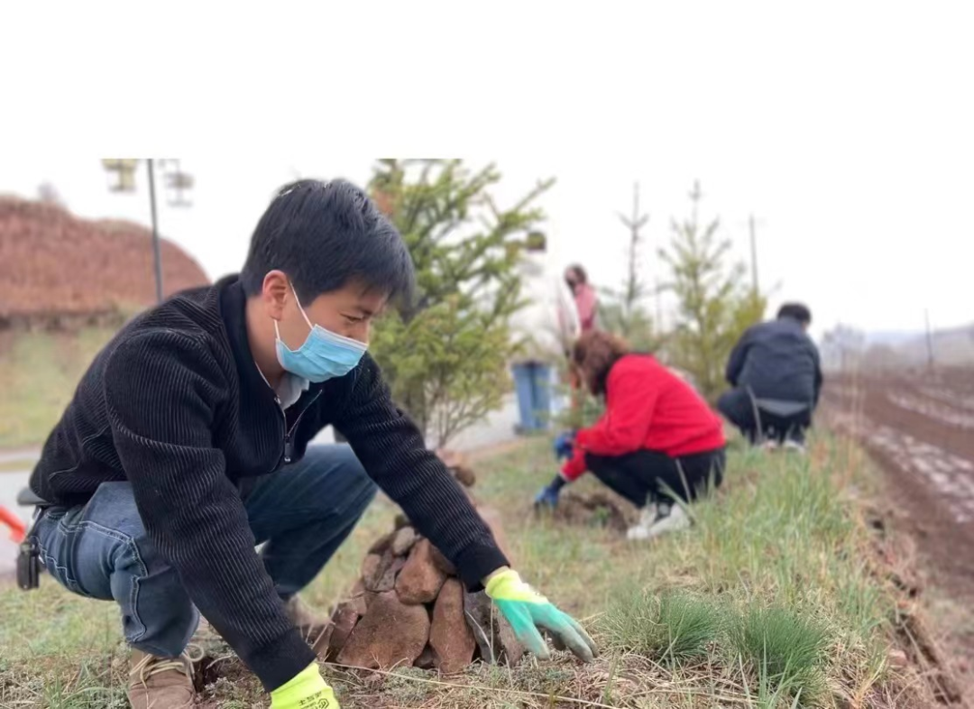 临潭县积极开展山水林田湖草沙系统治理和全县公路沿线集中整治活动