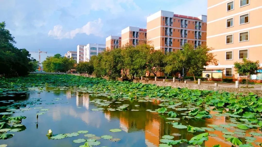 广西大学化学2022考研，招生人数、考试科目及复试调剂情况分析