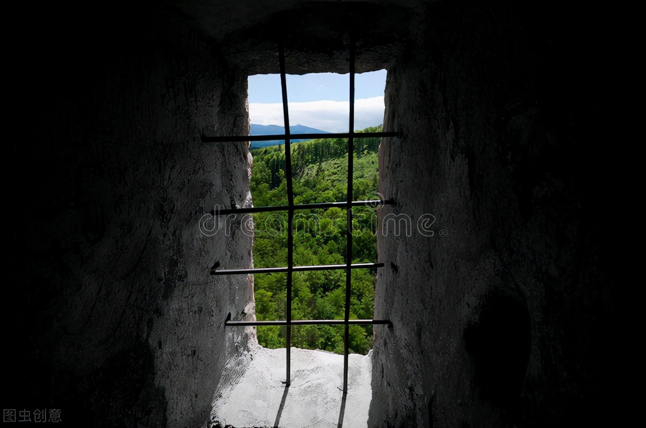 广州女生走私耽美淫秽漫画三千余本被判刑十一年，量刑是否恰当