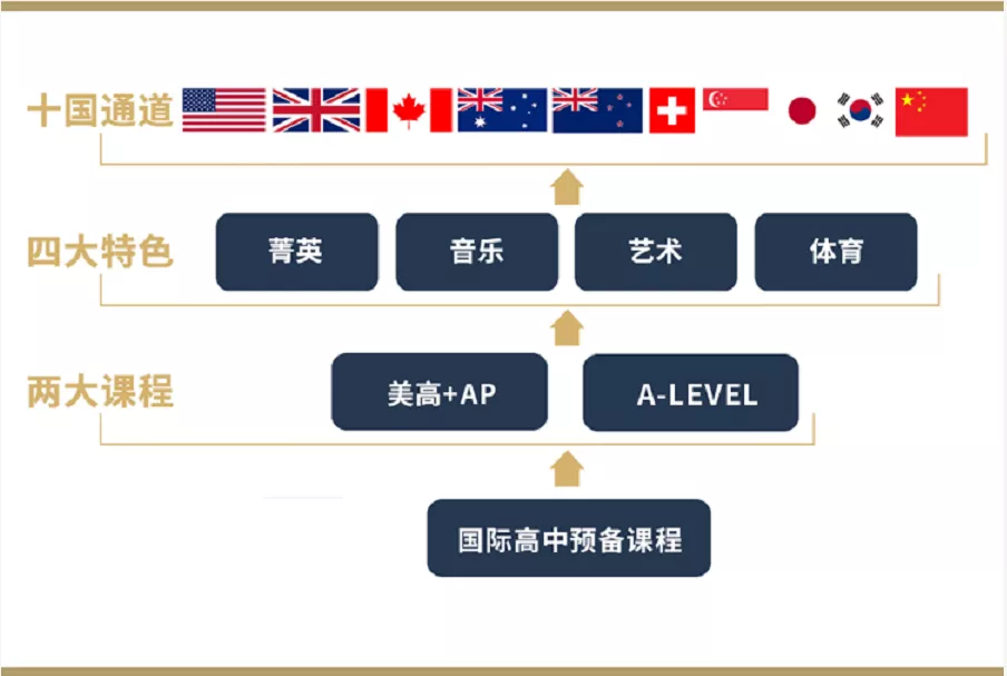 美高+AP、A Level，如何确定哪个课程更适合孩子？