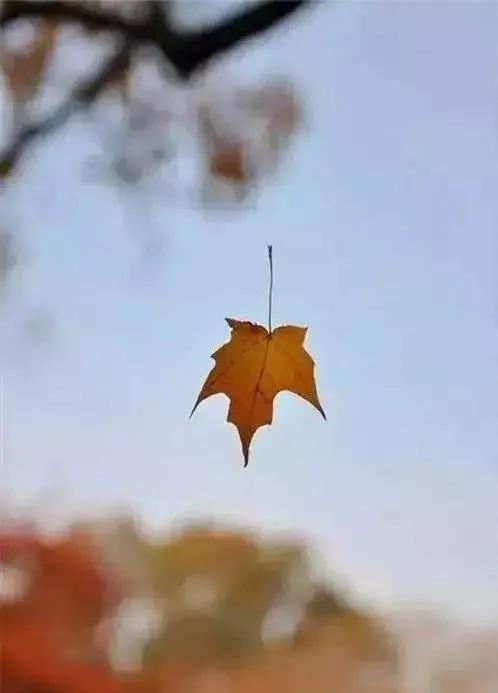 写给苦命的自己，读到落泪