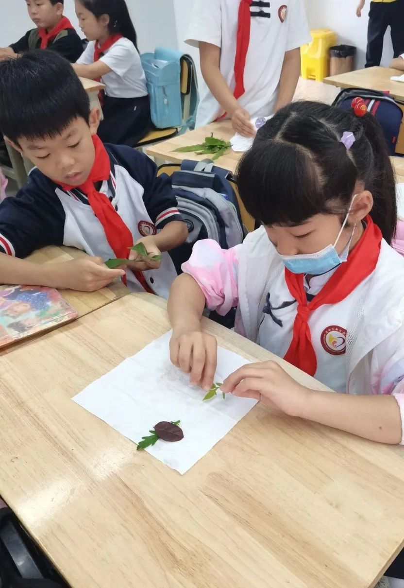 成都高新区朝阳小学深入开展二十四节气之小满有关活动