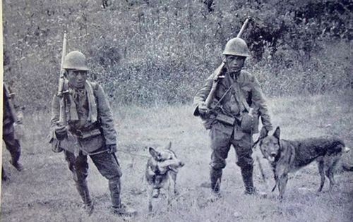 吃得不如狗？我军管饱，国军饥饿，待遇差距竟然这样大？