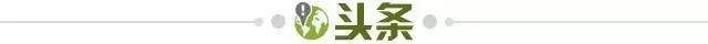 世界杯德国宣传文案(「早报」法国、比利时，只是看上去很强？)