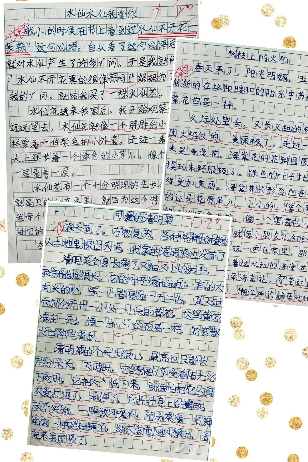 腹有诗书气自华，最是书香能致远｜走进双流区棠湖小学三年级八班