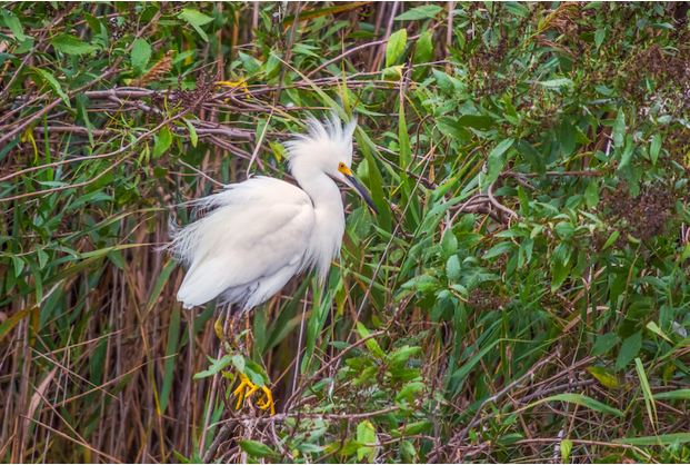 自驾北美——美国第二最小州：特拉华州
