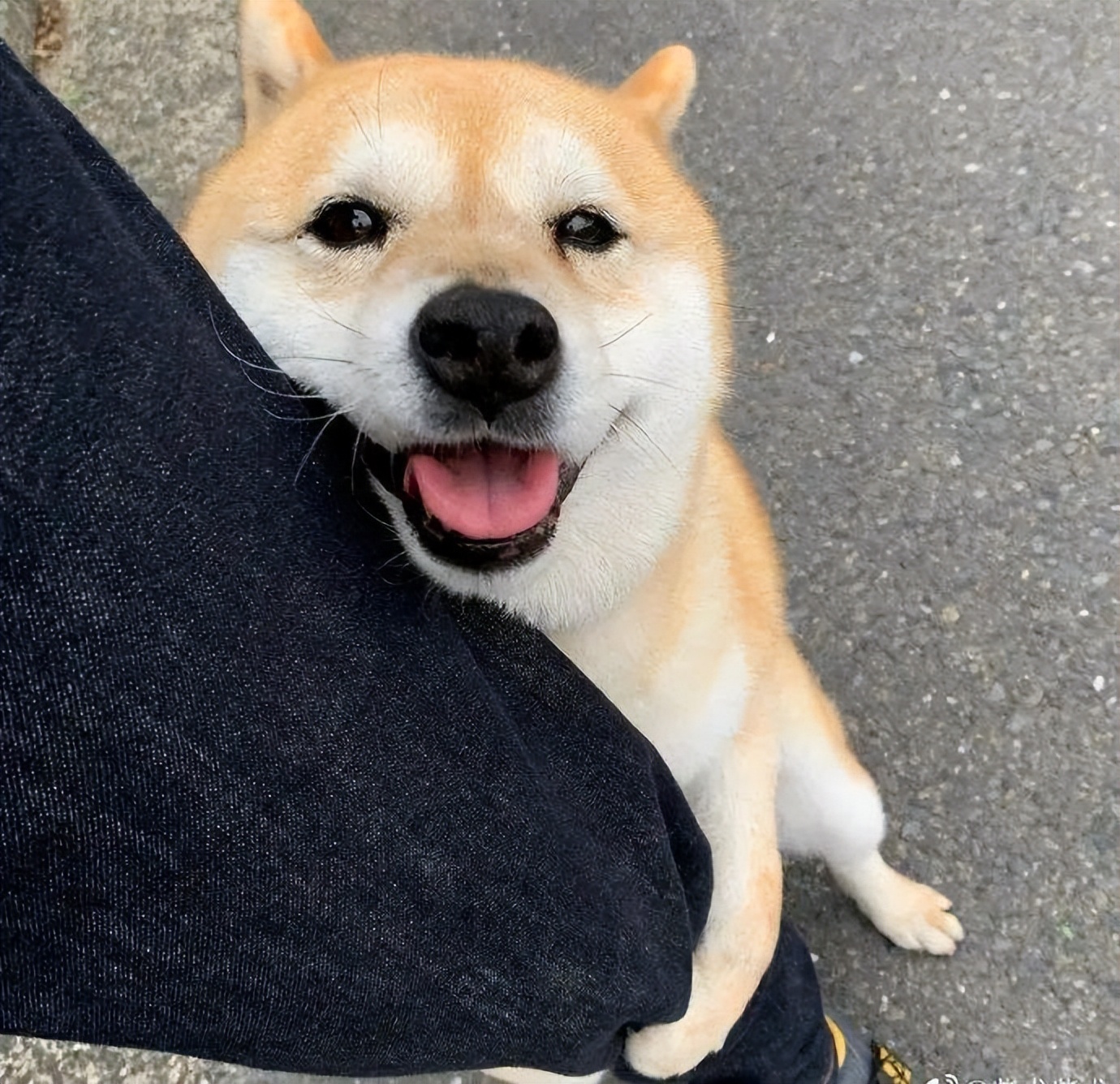 ŮһëԢ⣨ŮһëԢң-10ͼƬ-Ȼ