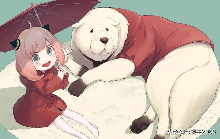 豆瓣9.1，实不相瞒间谍过家家，这番满足了我唯二的愿望之一