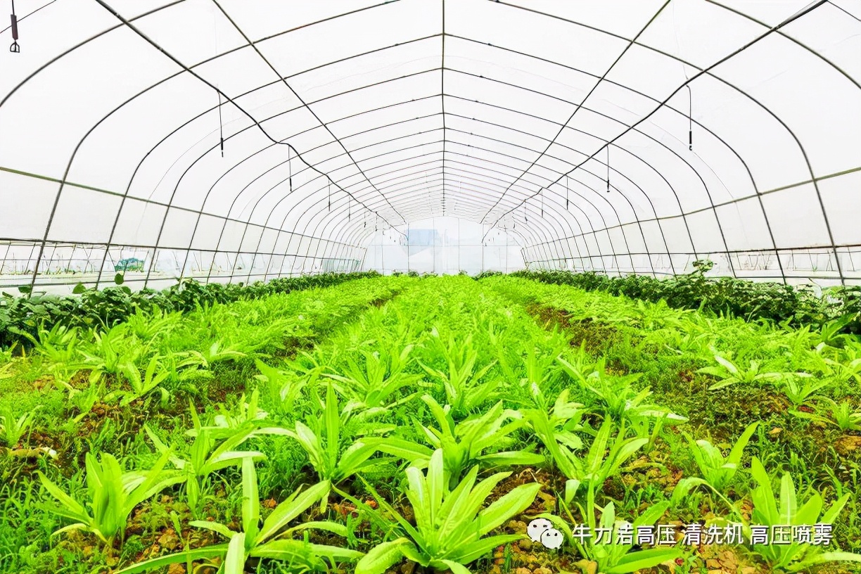 自动打药机和人工喷药的区别