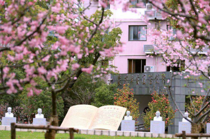 浙江大学临床医学（临床医学金字塔出炉）