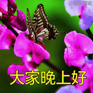 2022适合睡前群发晚上好问候动画表情包 晚安祝福语图片带字温馨