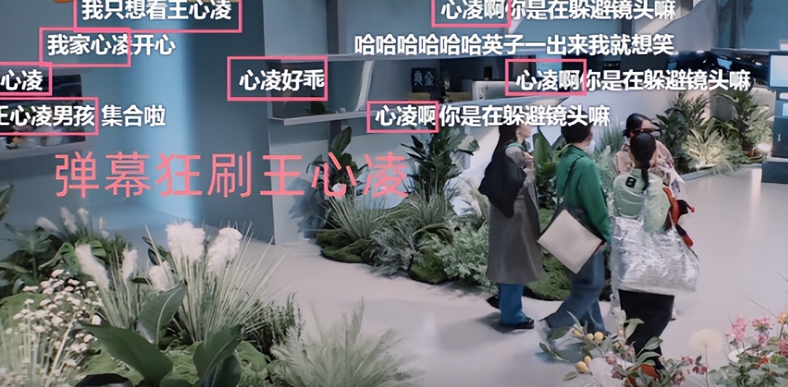 王心凌火出圈，神舟飞船宣传播放《爱你》，被官媒邀请为高考加油