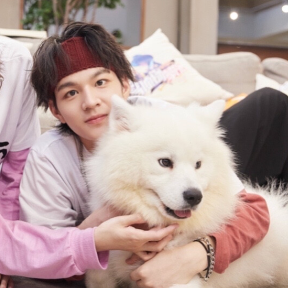 《名侦探学院5》官宣，新嘉宾站C位老成员靠边，节目初心已不在