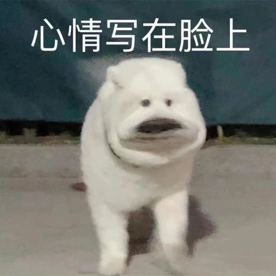 学历vs实力 马上上大学的同学看过来 (经验分享)