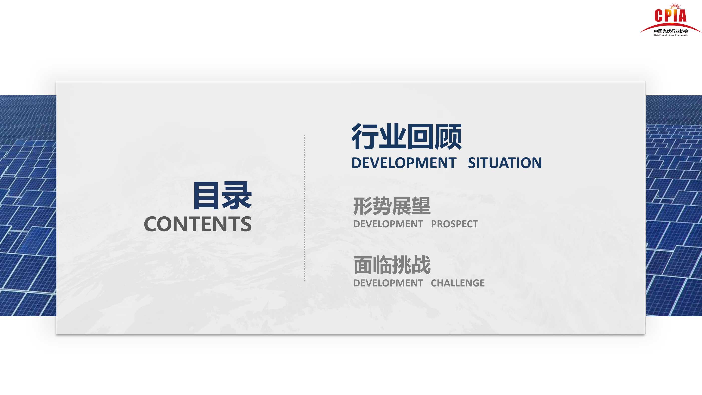 王勃华：光伏行业的发展形势与挑战