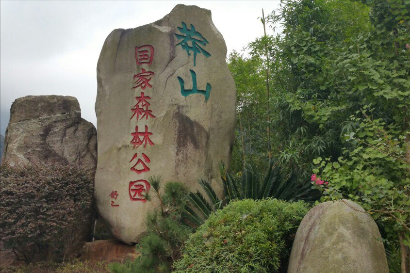 一条价值100万的莽山烙铁头,凭什么被称为"蛇中大熊猫"?