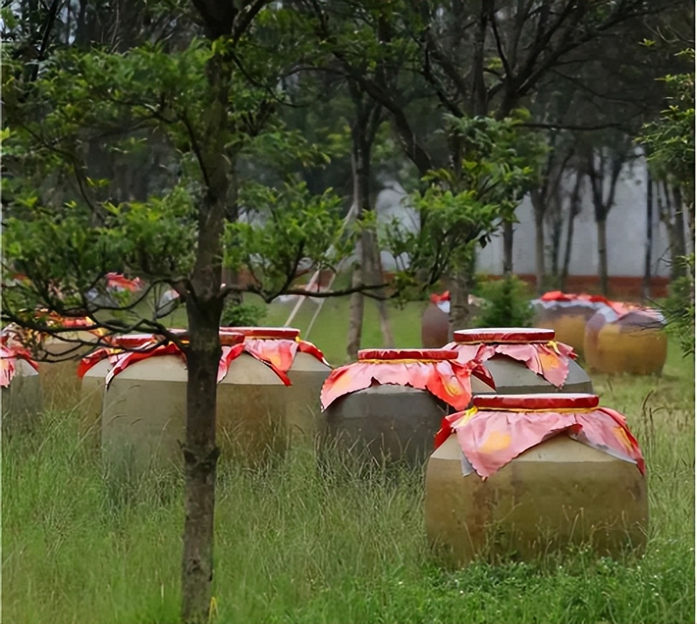 从原酒基地到酒庄集群，邛酒未来可期