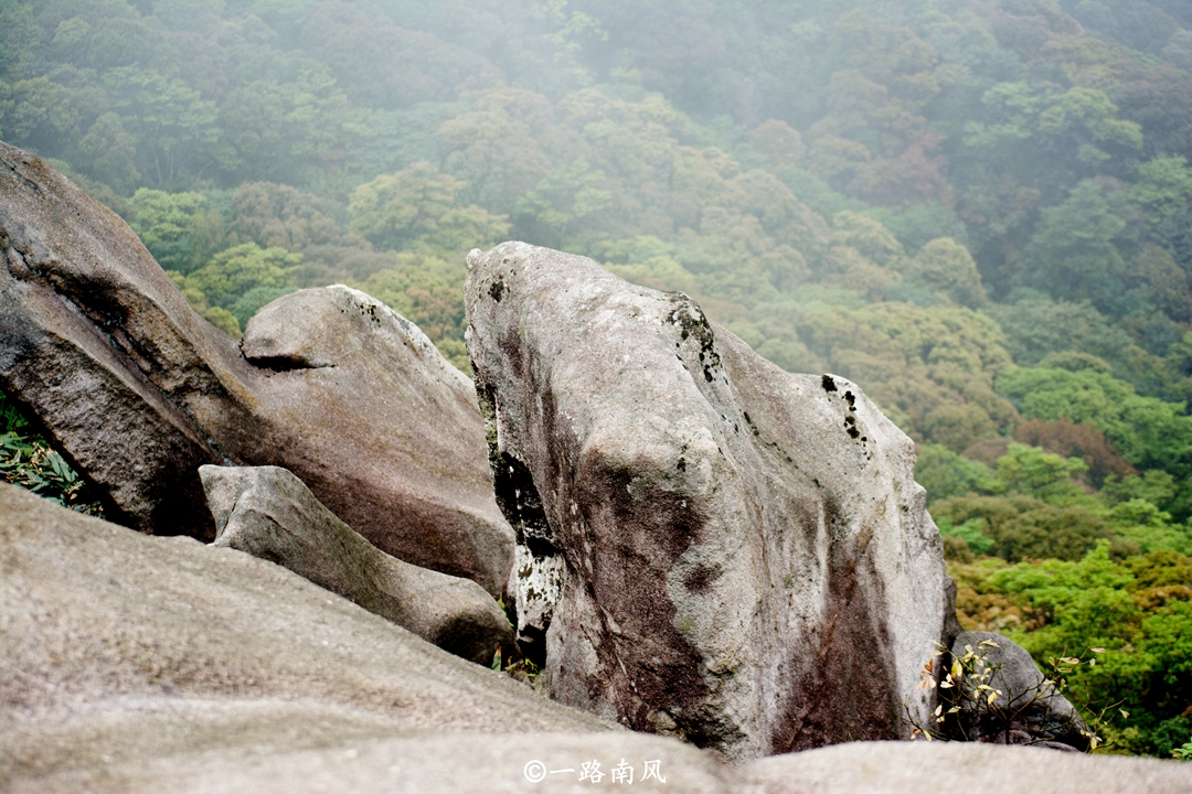 桂峰山在哪（被誉为后花园的广州郊区桂峰山）