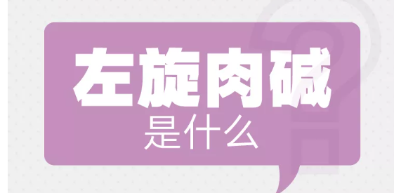 左旋肉碱到底能不能有助减脂？答案有了