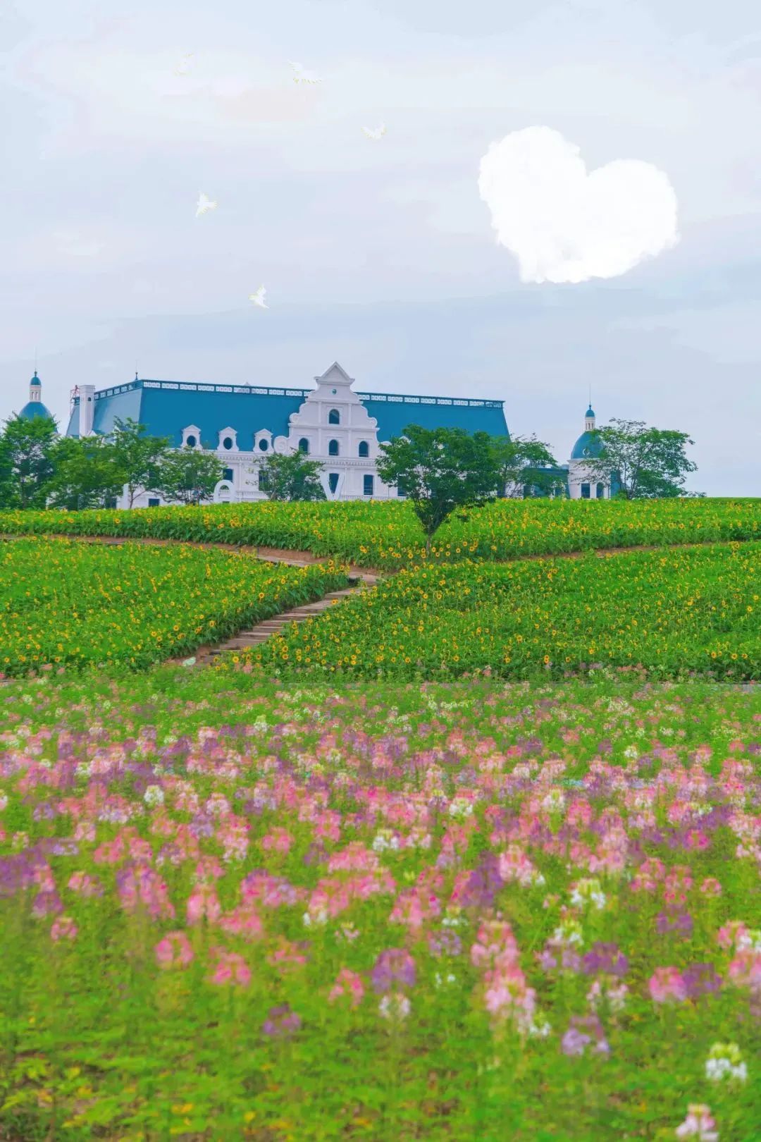武义花田小镇门票价格花田小镇武义一日游攻略
