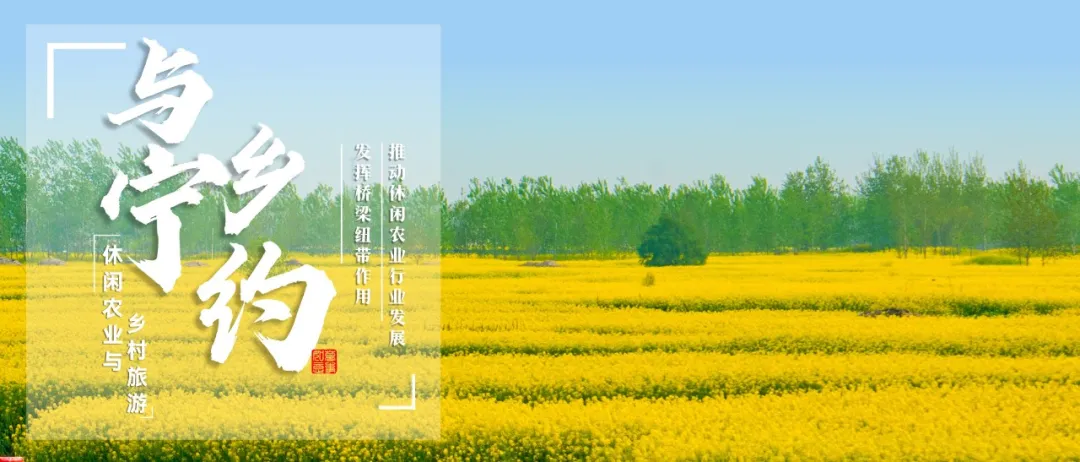 春风十里 绿印宁城——南京休闲农业系列调研圆满结束