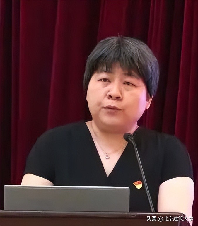 党委书记(主持行政工作) 白羽教授,北京大学博士中国仿真学会不确定性