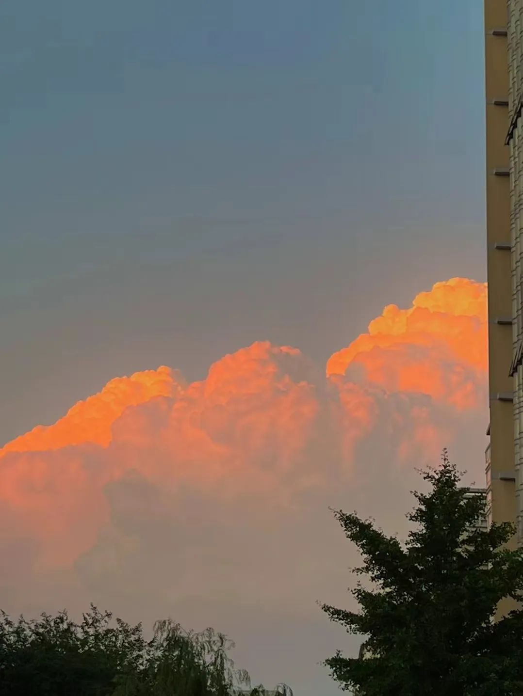 最伟大的作品？也许藏在这里……