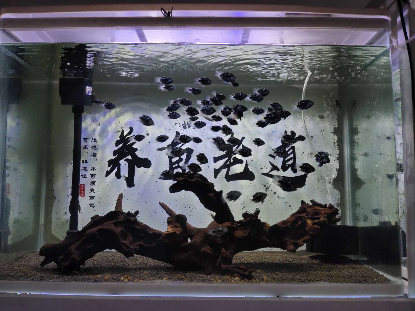 ˮƵǺ峺׿Ƶˮܸɾ-Ʒ