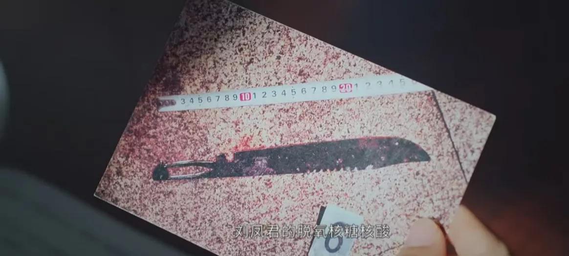 犿ͥ⡷P(gun)ϵD@Ʉ߶̫󣬄̫X
