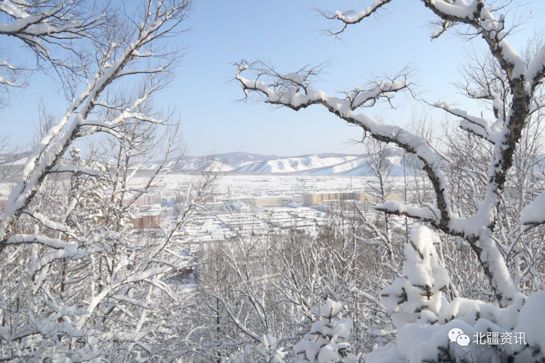 美图！三月春雪添诗意 玉树琼瑶美“出圈”