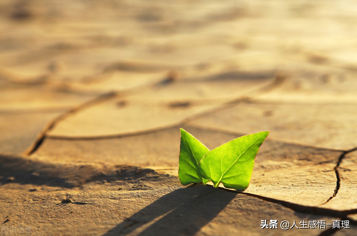 人活在世间，应保持良好的心情，人生就顺