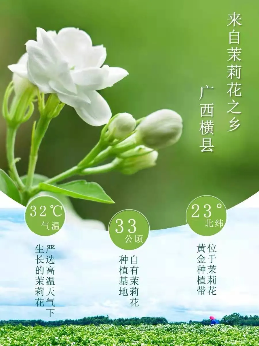 直播消费助农 助力乡村振兴
