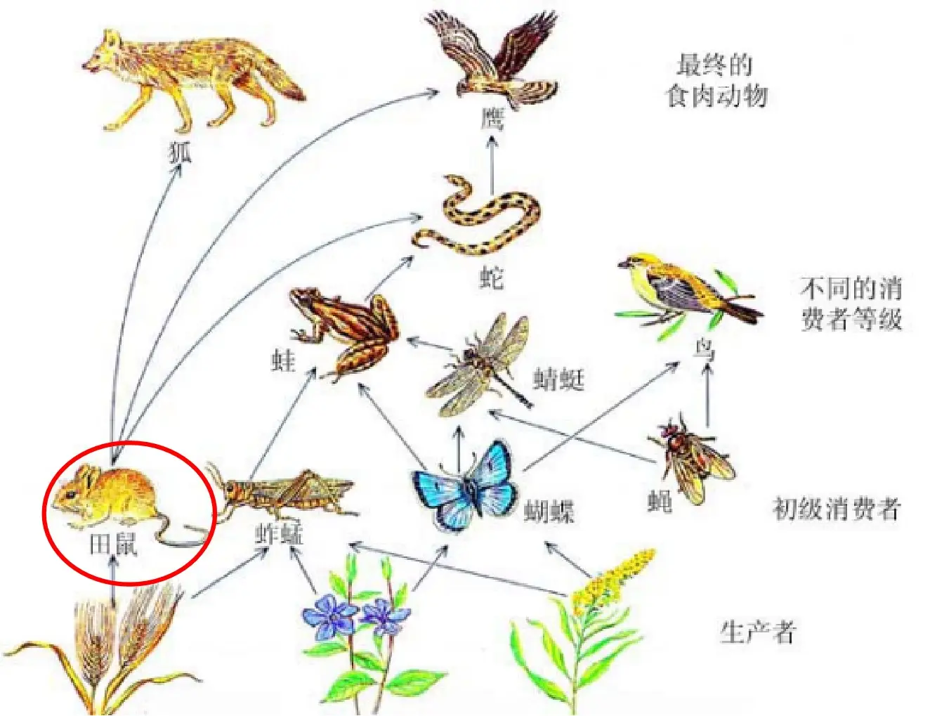 蛇的叫声(河南菜花蛇钻入电动车内,半瓶二锅头"引蛇出洞",蛇怕白酒吗?