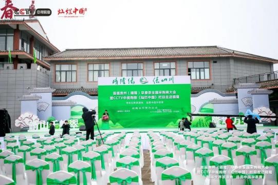 寻味世界茶源地 品茗中国早茶香