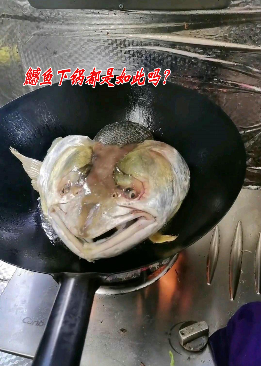 这鱼不一般？江西男子钓获“水老虎”，鱼头下锅后呈现奇怪表情