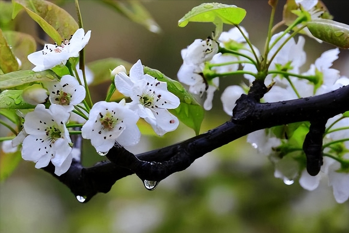 中国文学史上45首关于爱情的经典诗词，你最喜欢哪一首？