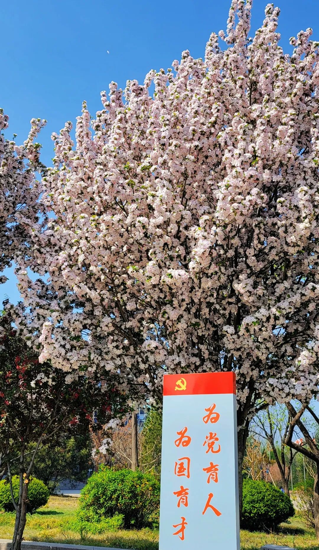 恒德时令志 | 谷雨