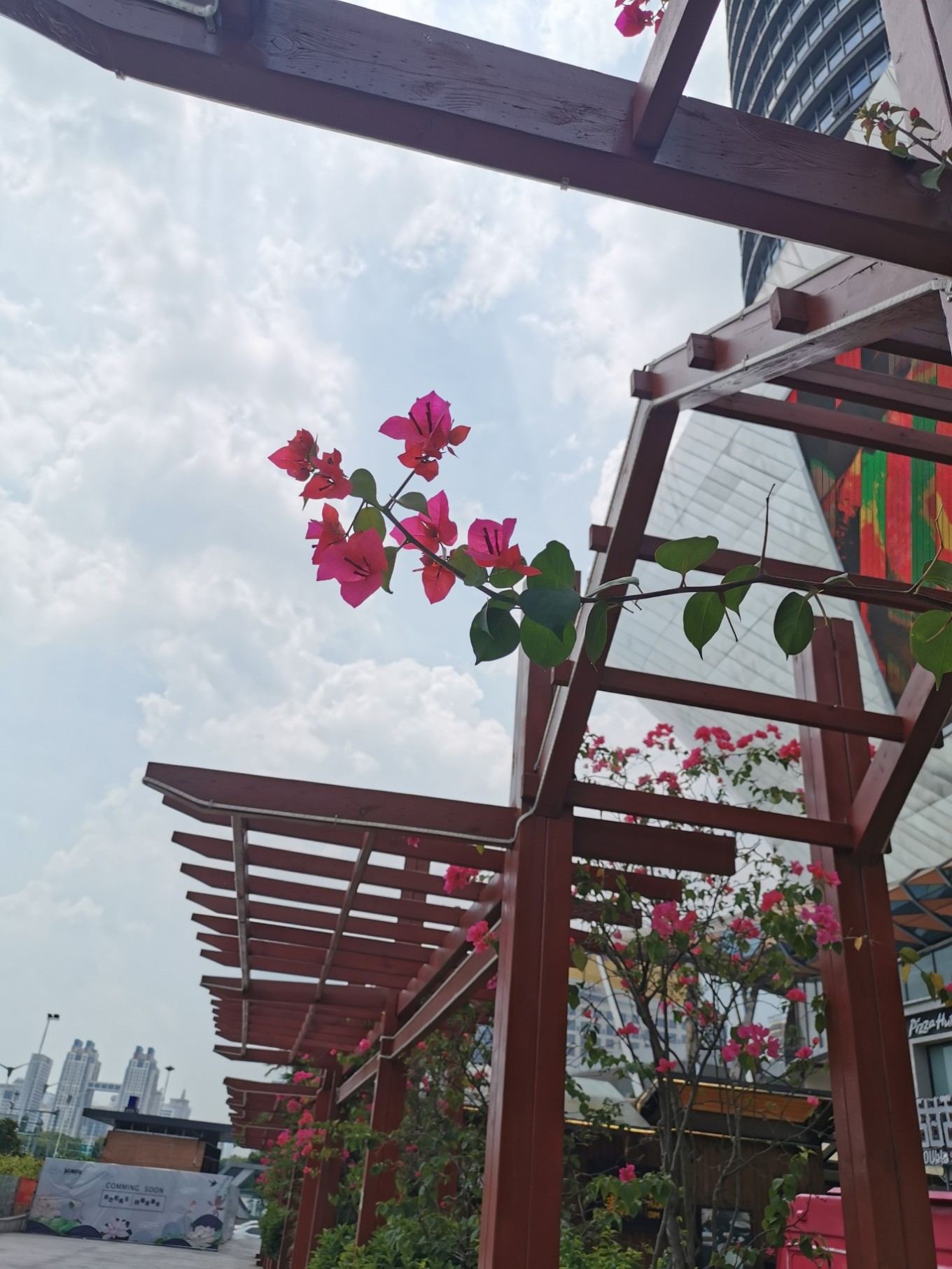 北海，是我的诗和远方