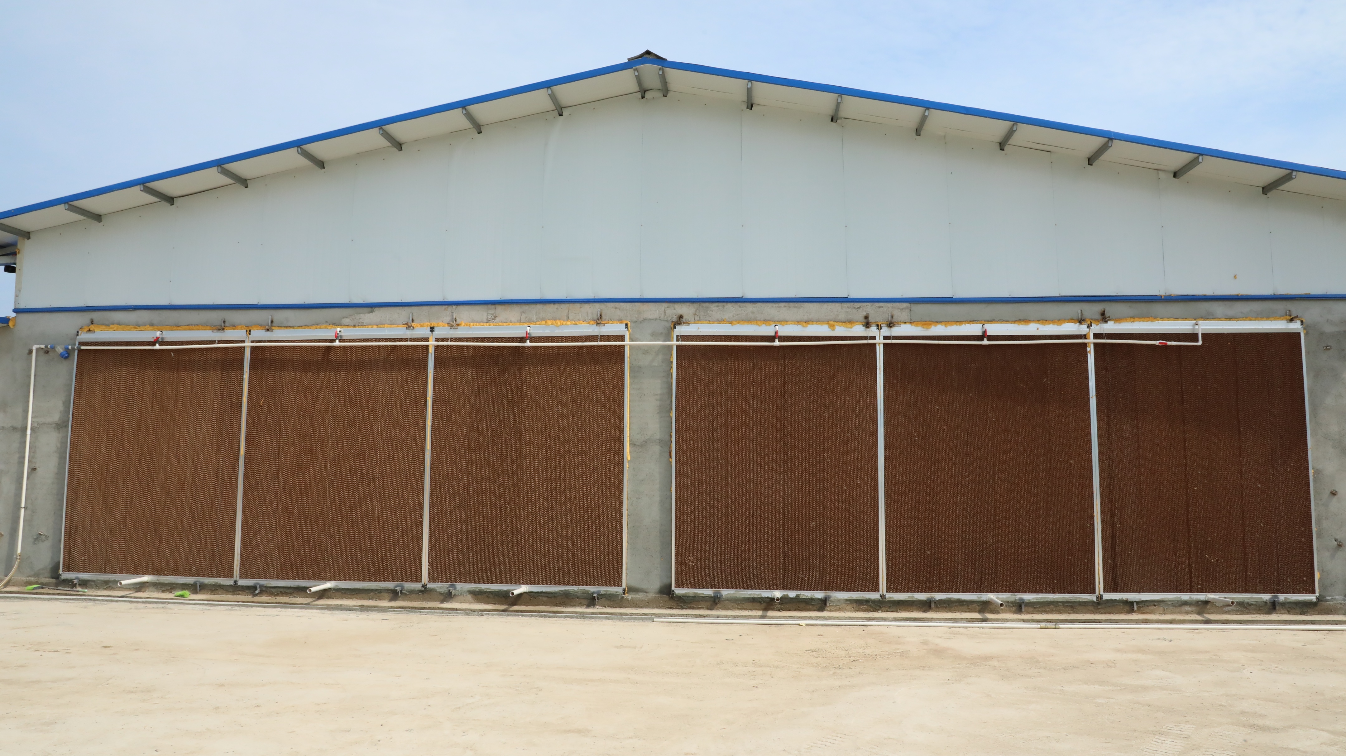 远卓农牧建议：夏季水帘和风机这样用，规模蛋鸡养殖鸡舍清凉一夏