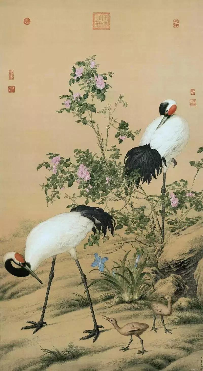 清代宫廷画家郎世宁的（清代宫廷画家郎世宁的什么图描绘了姿态各异之骏马白皮）-第58张图片-悠嘻资讯网