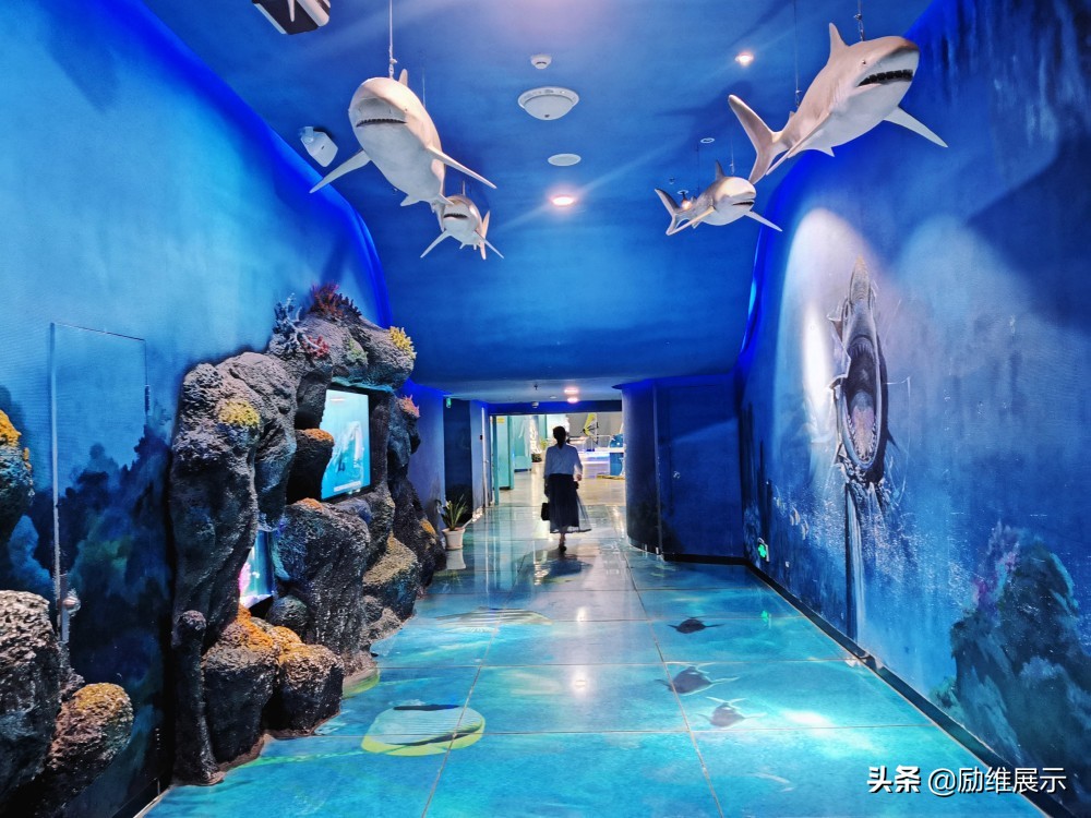 励维展示：当下校园展厅如何设计？